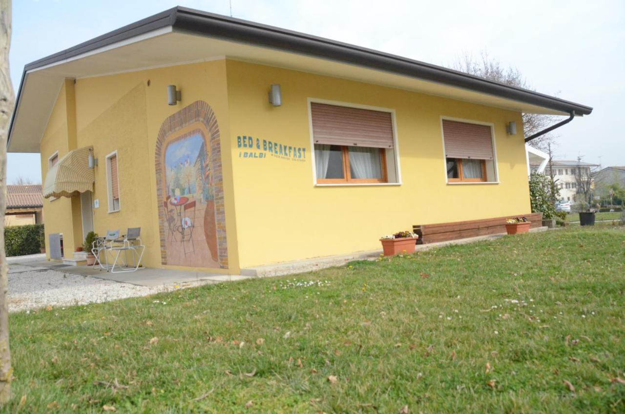 B & B I Balbi Falze di Piave Екстериор снимка